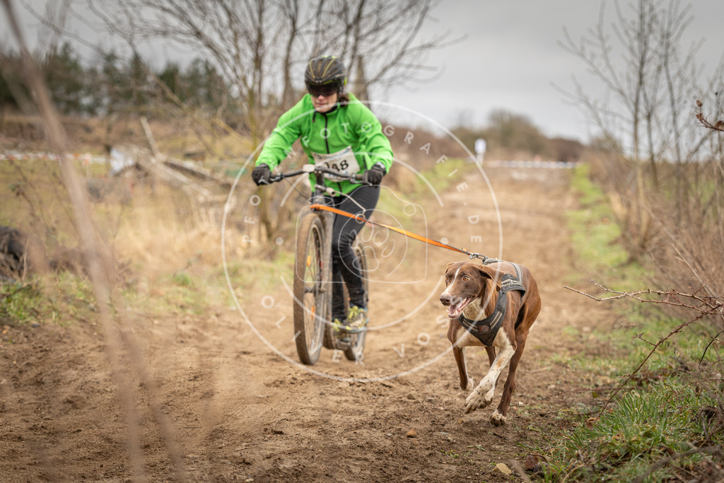 DV3A1496 | Hundefotografie, Tierfotograf, Pfotenfotografie, Fotoshooting Hund, Hunde Portrait, Hundesport, Hundeportraits, Heideshooting, Hunde, Sportfotograf, Hundefotograf, Turnierhundsport, THS,  - Realisiert mit Pictrs.com