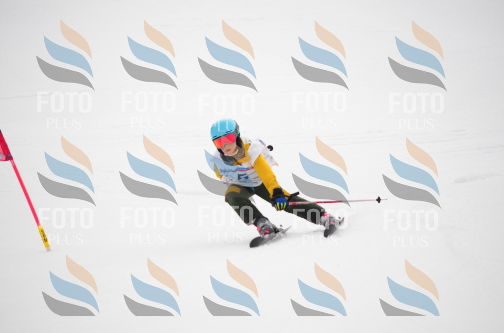 C0097 | holidayphoto