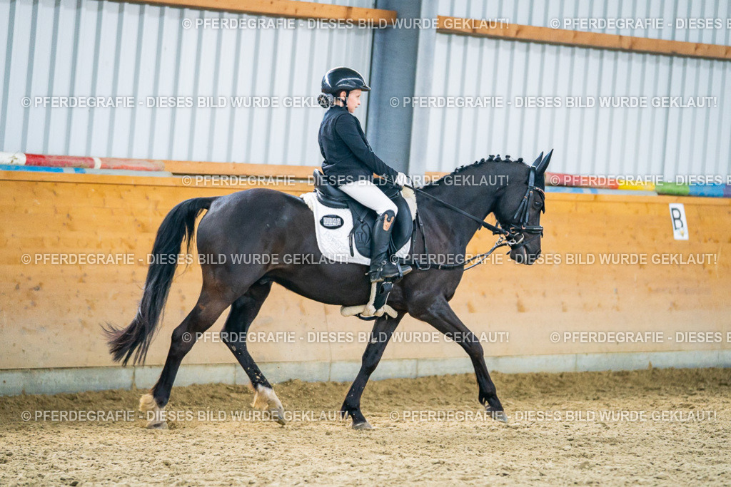 DSC04718 | Pferdegrafie