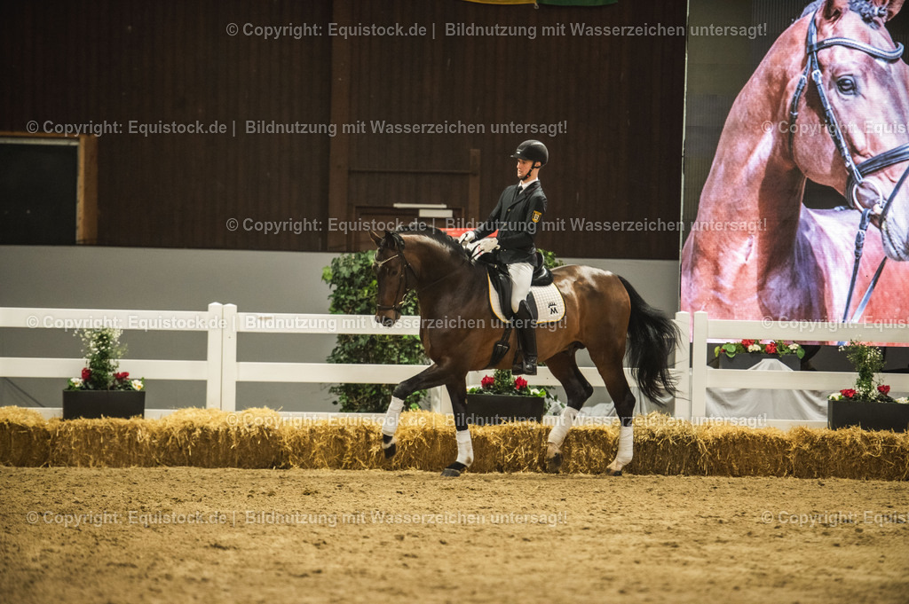 20240302_Hengstvorstellung_Marbach_TOMsPiC_1193-2 | equistock