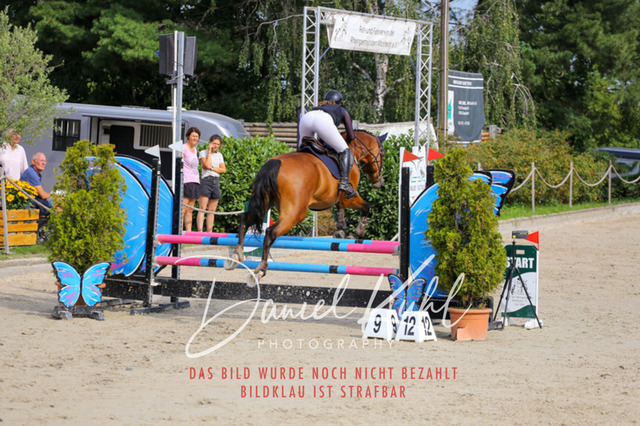 Gut Blee25_Amateuer Stilsprpfg Kl A_0094 | Turniersportfotografie; Pferdefotografie; Dressurfotografie