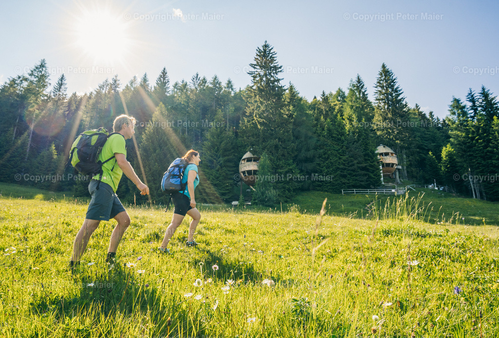 Malga_Priu_Karnische_Milchstrasse_2020-135 | piet_flosse