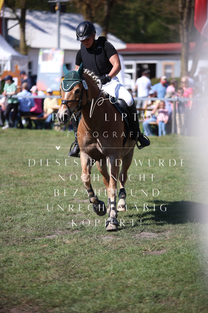 IMGT8902 | pl-fotografie