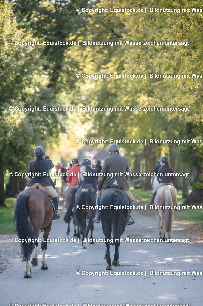 20251011_Jagd-Marbach_0623 | Foto: Thomas Hartig