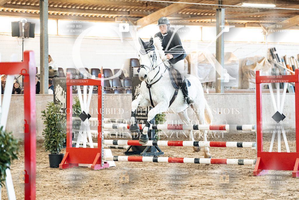 CK904476 | Turnierfotografie Pferdefotografie Trier Rheinland-Pfalz Pferdesport Reitsport Tierfotografie Sportfotografie Pferdevideo Pferdevideografie Equestrianvideography equestrianphotography  - Realized with Pictrs.com