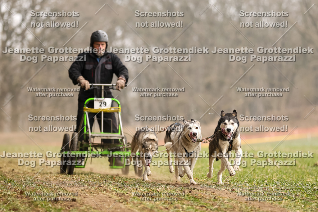 Dog Paparazzi - Plate 2026-100 | Dog Paparazzi Jeanette Grottendiek Fotografie & Videografie - Realisiert mit Pictrs.com