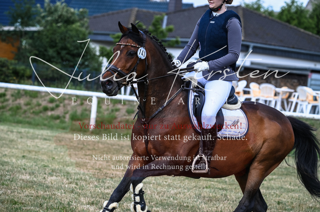 DSC_8016 | Pferde- und Turnierfotografie in Westsachsen. Pferdeportraits, Auftragszeichnungen und intuitive Kunst.