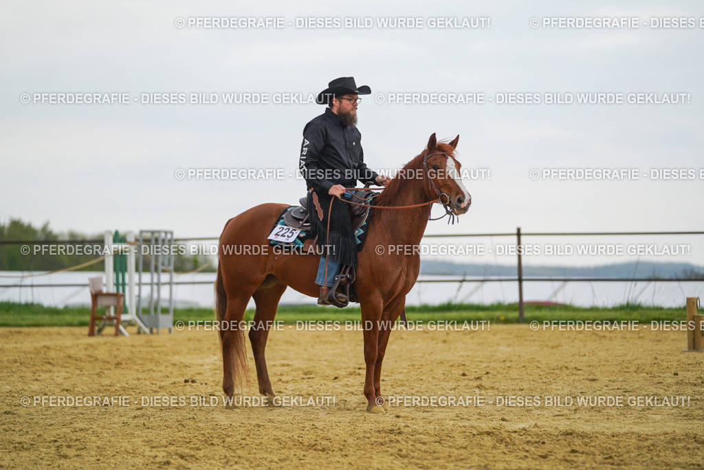 DSC08242 | Pferdegrafie