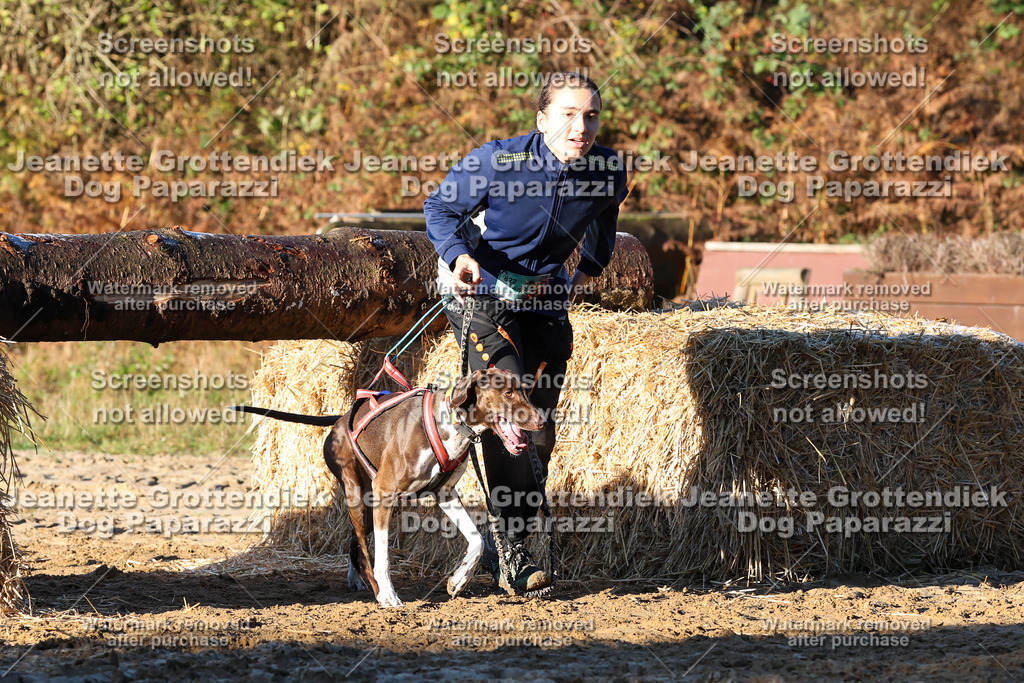 Dog Paparazzi - Strongdog 10-25-918 | Dog Paparazzi Jeanette Grottendiek Fotografie & Videografie - Realisiert mit Pictrs.com