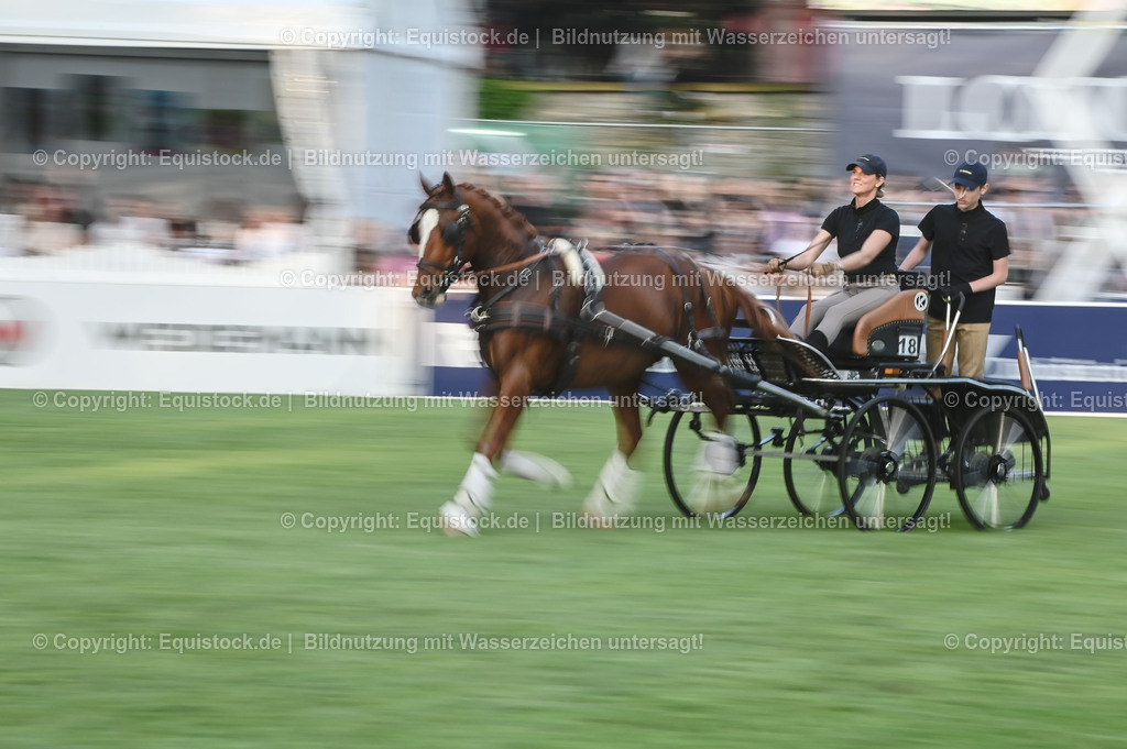 20230526_Pferdenacht_0215 | equistock