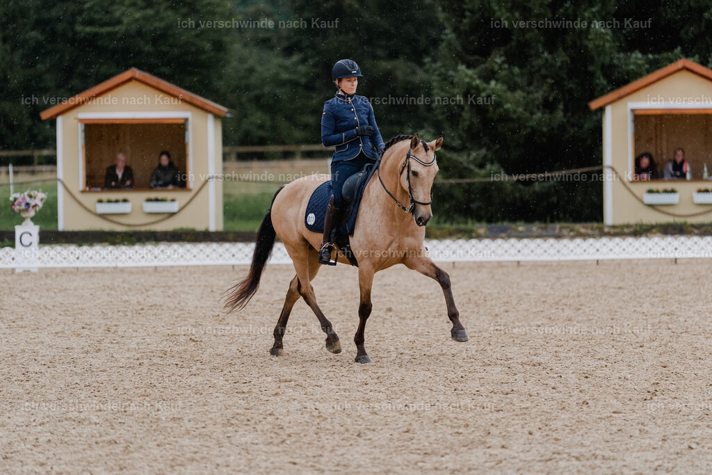 Diana11_FHC2025-8728 | working equitationturnier fotograf videograf stoibphotography marixx film working equitation deutschland reitsport turnierfotografie eventfotografie equestrian events