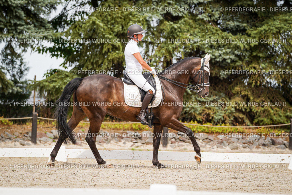 DSC06381 | Pferdegrafie