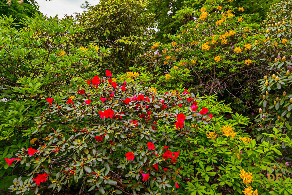 9_DSC8246 | Geschenke, Wandbilder und Accessoires mit Motiven aus Dresden und anderen schönen Orten zur Verschönerung Deines zu Hauses und zum verschenken gewünscht? Wähle Deine Lieblingsbild auf dem Produkt Deiner Wahl. 