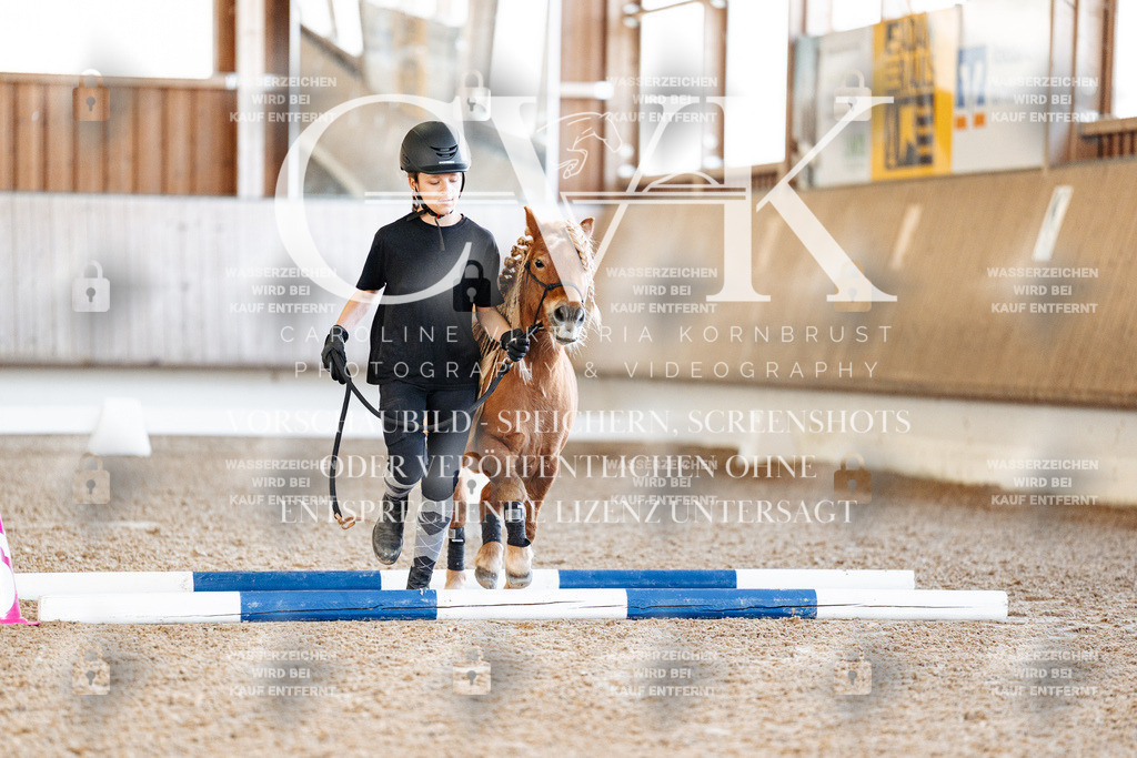 CK905258 | Turnierfotografie Pferdefotografie Trier Rheinland-Pfalz Pferdesport Reitsport Tierfotografie Sportfotografie Pferdevideo Pferdevideografie Equestrianvideography equestrianphotography  - Realisiert mit Pictrs.com