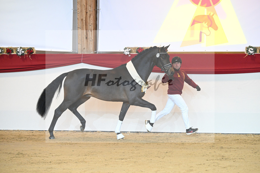 Kat-Nr. 72 Vaderland_Durrer_1232159 | hf-fotografie - Realisiert mit Pictrs.com
