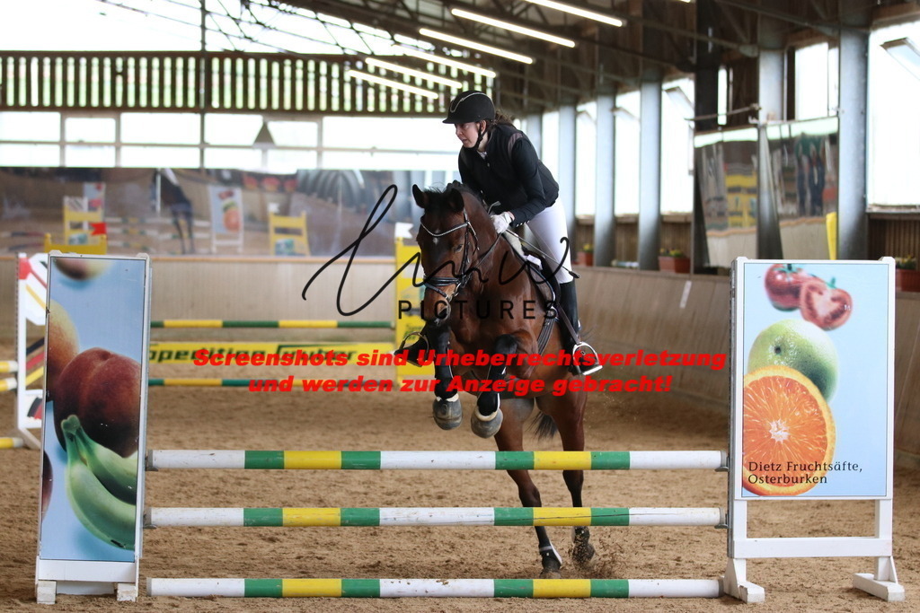 IMG_5398 | lmwpictures - Realisiert mit Pictrs.com