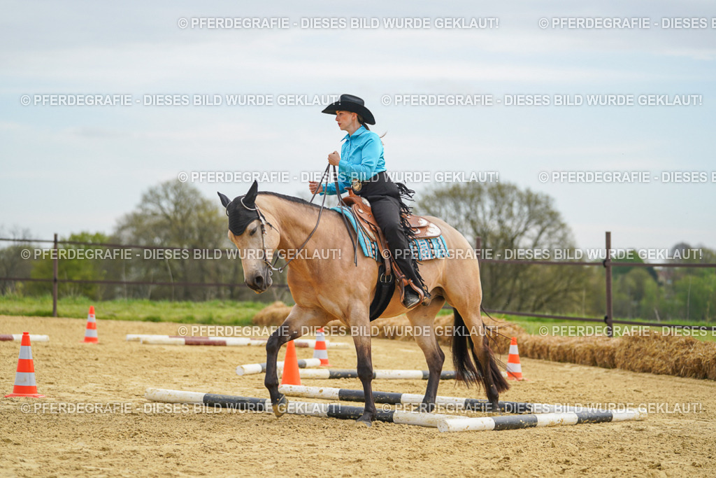 DSC03404 | Pferdegrafie