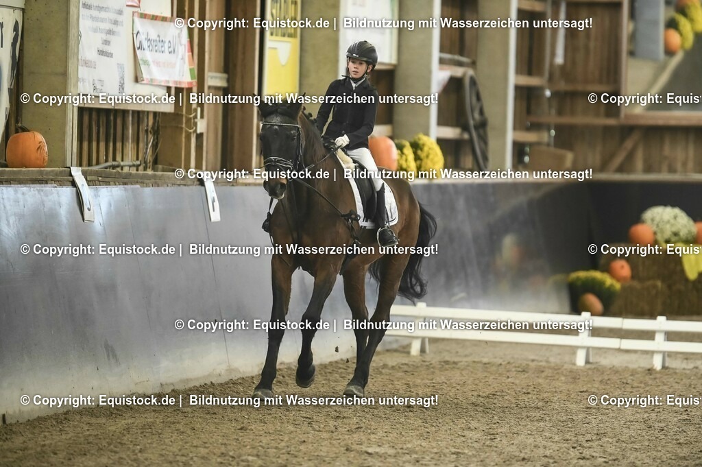 20231029_02_Reiter-WB_Schritt-Trab-Galopp_Abteilung-03_0062 | Foto: Thomas Hartig