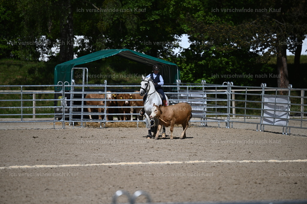 PI26_COW_Sara Landvogt226_7325.JPG | working equitationturnier fotograf videograf stoibphotography marixx film working equitation deutschland reitsport turnierfotografie eventfotografie equestrian events