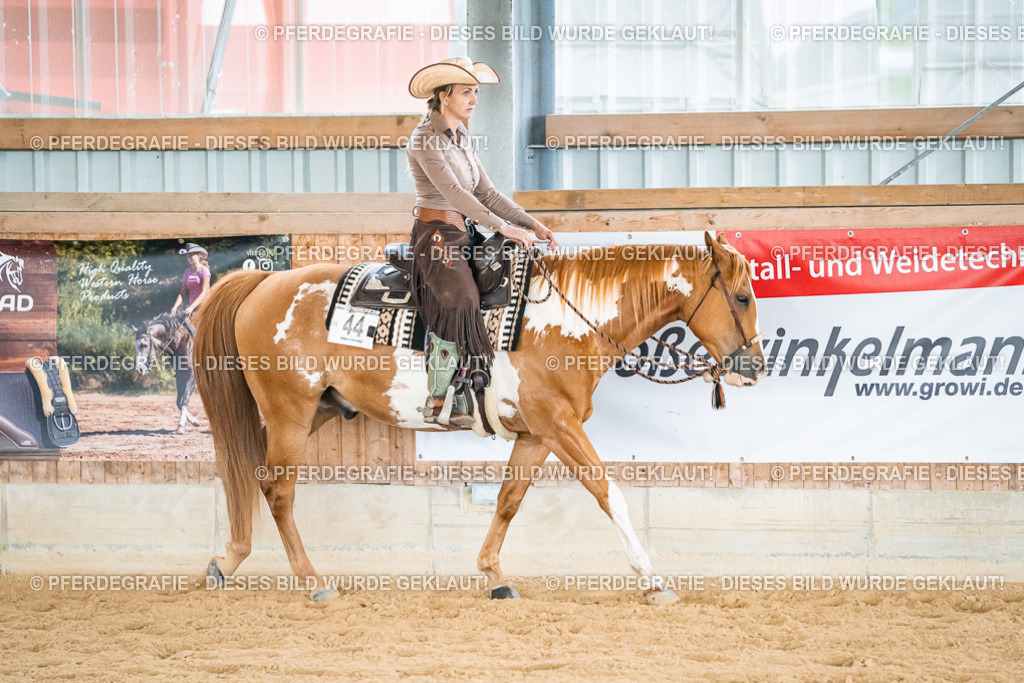 DSC00262 | Pferdegrafie