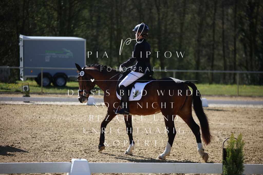 IMGT0094 | pl-fotografie