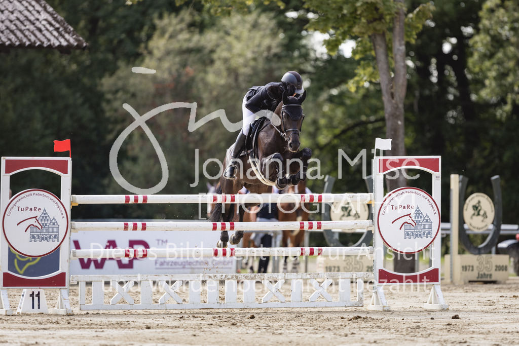 230826_Delbrueck_M2-Spr-837 | Deine schönsten Turniermomente als professionelle Fotos! Entdecke hochwertige Pferdesport-Fotografie im Online-Shop. Jetzt Fotos finden & bestellen!