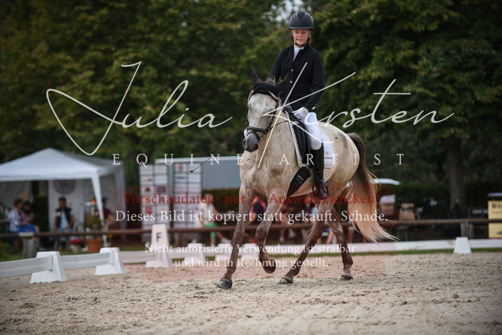 DSC_8230 | Pferde- und Turnierfotografie in Westsachsen. Pferdeportraits, Auftragszeichnungen und intuitive Kunst.