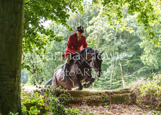 Jagd Knoop 26_MarinaHewigMCH02406 | Fotografie, FotoArt, PferdesportArt, Pferdesportfotografie, Landschaftsfotografie, Reisefotografie, Reise, Pferde - Realisiert mit Pictrs.com