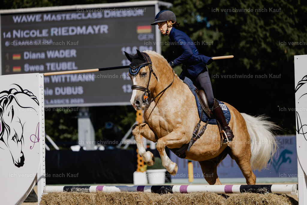 Nici11_FHC2025-27582 | working equitationturnier fotograf videograf stoibphotography marixx film working equitation deutschland reitsport turnierfotografie eventfotografie equestrian events