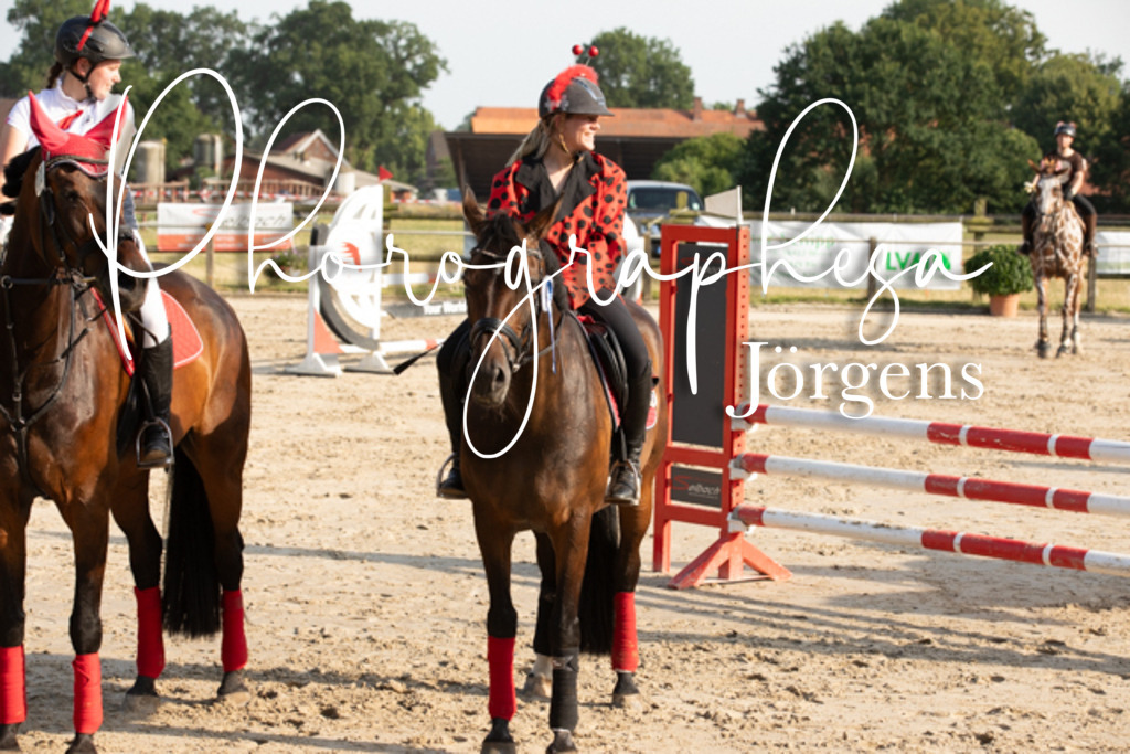 IMG_3667 | photographesa-joergens - Realisiert mit Pictrs.com