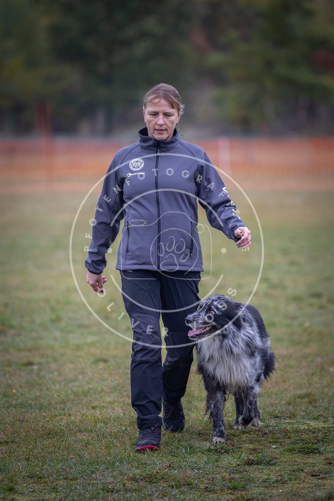 Pfotenfotografie_DV3A9420 | Hundefotografie, Tierfotograf, Pfotenfotografie, Fotoshooting Hund, Hunde Portrait, Hundesport, Hundeportraits, Heideshooting, Hunde, Sportfotograf, Hundefotograf, Turnierhundsport, THS,  - Realisiert mit Pictrs.com