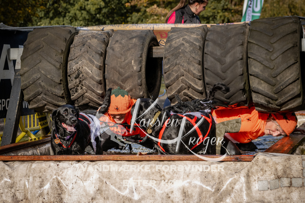 1359_ZZ93592 | kk-dogfotos