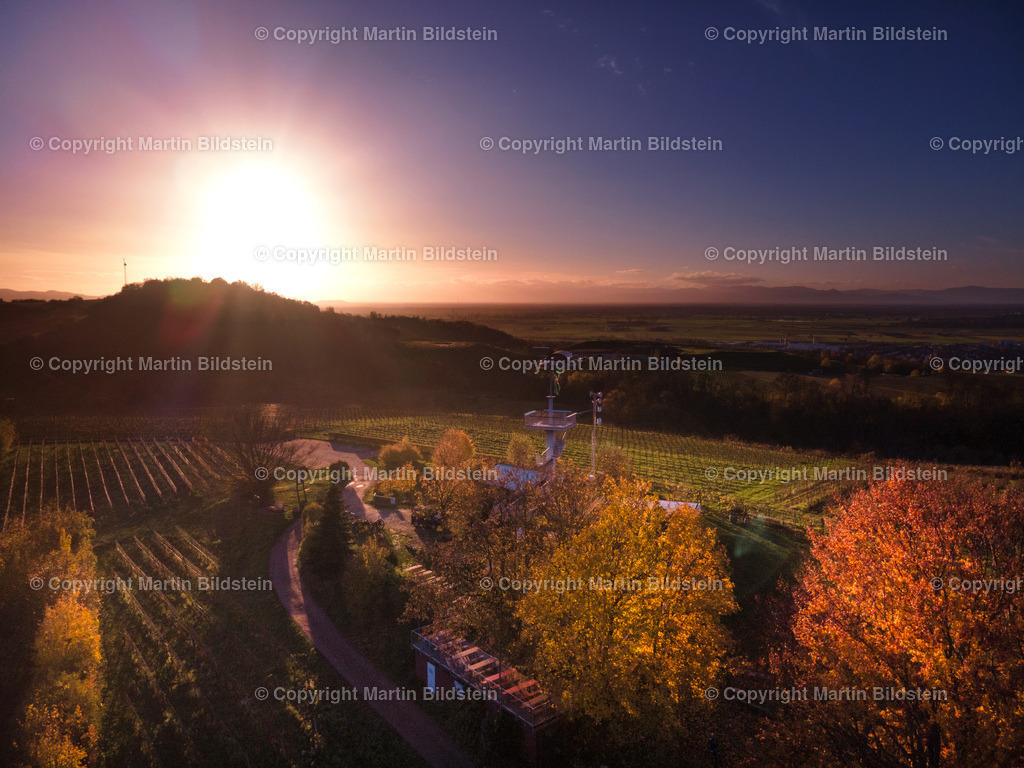 Ettenheim Heuberg im Herbst  | Gegenlicht Aufnahme 