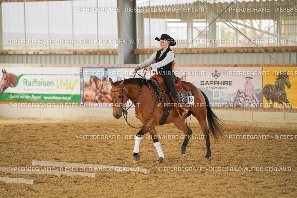 DSC04939 | Pferdegrafie