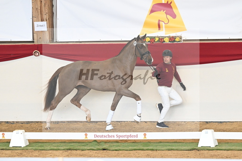 Kat.-Nr. 83 v. Valdiviani_Schult_3261173 | hf-fotografie - Realisiert mit Pictrs.com
