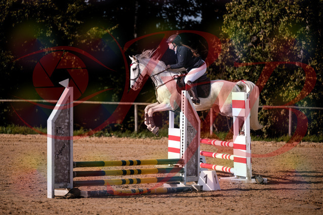 2026_10_03_Siefer-Hof_153958_Z81_55799645 | Professionelle Reitsport-, Turnier- und Eventfotografie von Robert Broda. Galerien mit ausgewählten und bearbeiteten Bildern direkt online ansehen und bestellen.