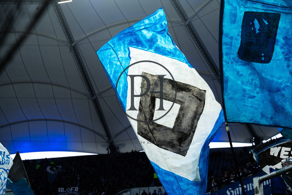 15.Spieltag HSV - SGE_SC-47 | Philipp-Heist - Realisiert mit Pictrs.com