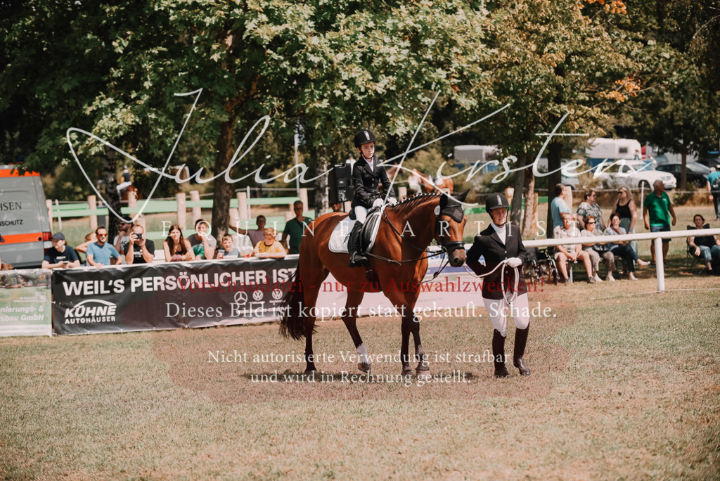 DSC_6151 | Pferde- und Turnierfotografie in Westsachsen. Pferdeportraits, Auftragszeichnungen und intuitive Kunst.