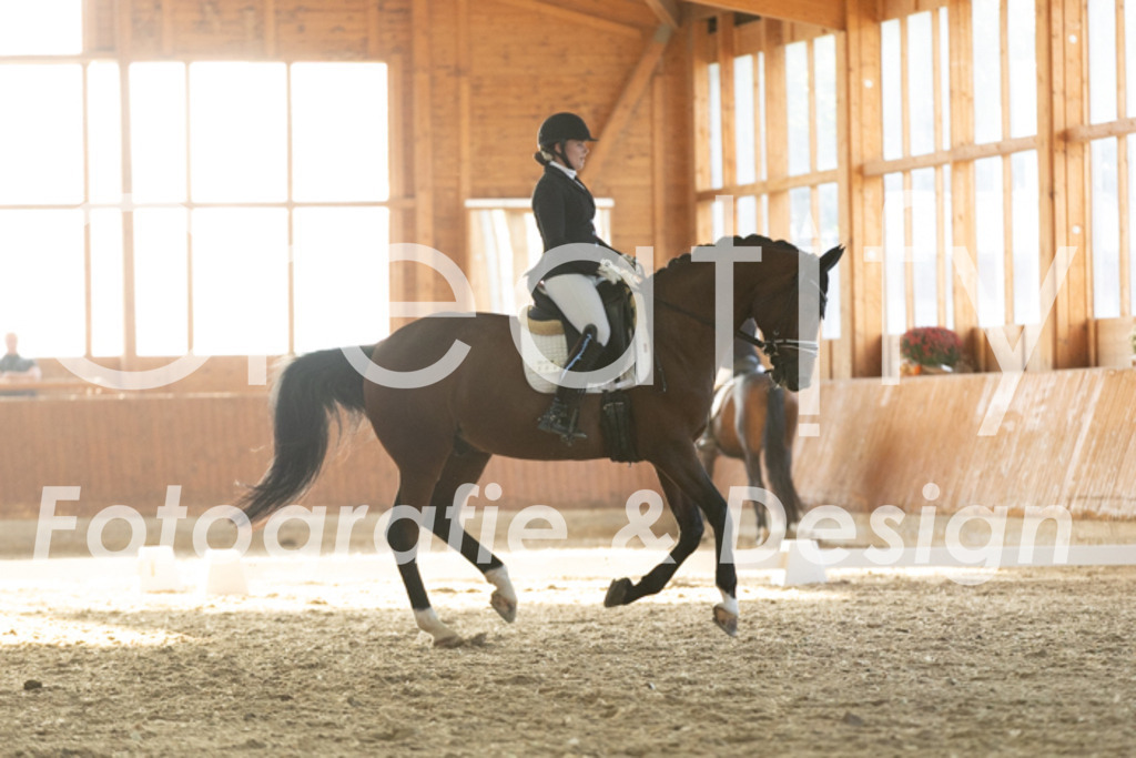 IMG_3977 | Creatify Fotografie