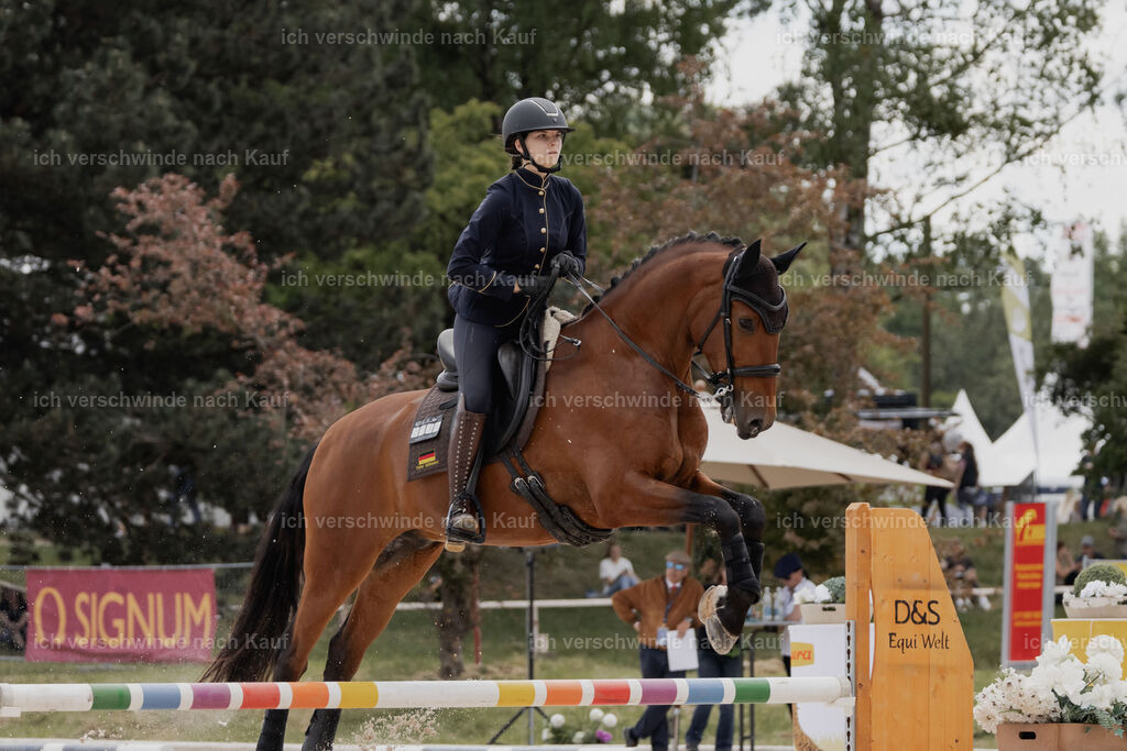 WE_ST_Stoib_335_PI2025_1025 | Pferd International München 2025