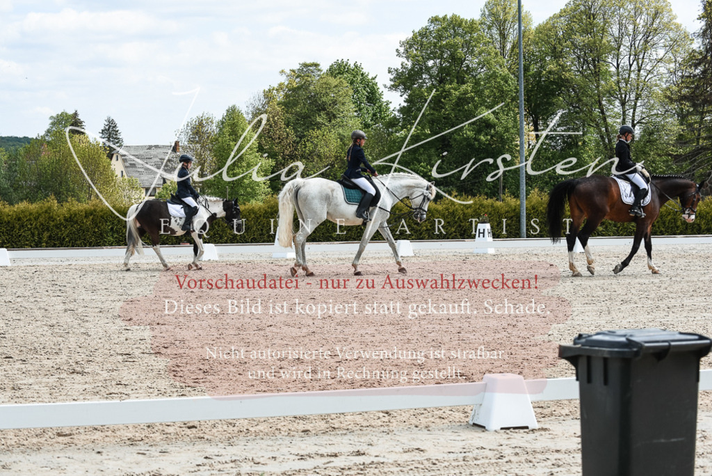 20230518_JK-Röhrsdorf-11-0424 | Pferde- und Turnierfotografie in Westsachsen. Pferdeportraits, Auftragszeichnungen und intuitive Kunst.