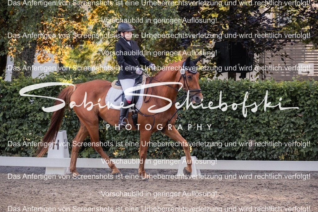 2025_05_31_DSCF2658 | People- und Tierfotografie, Imageaufnahmen, Veranstaltungsfotografie und Wandbilder aus der Natur ★ Made in Germany ✔️ Druck + Downloads ✔️ Naturfotografie in Top Qualität ★ schneller Versand, weltweite Lieferung! - Realisiert mit Pictrs.com