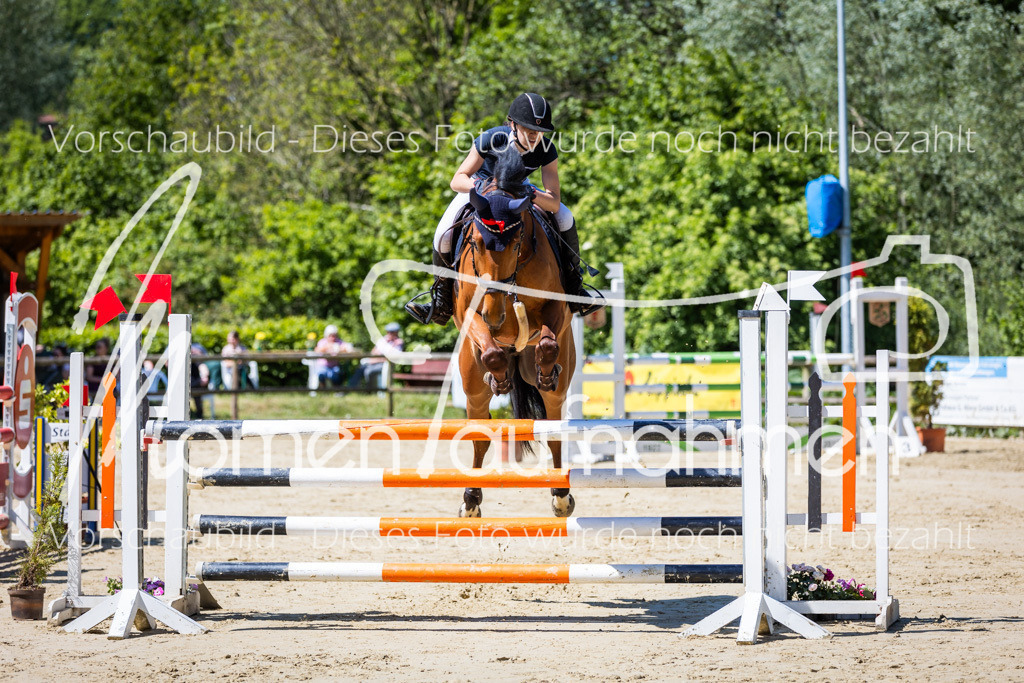 Donop24-L-Spr-010 | MomenTaufnahmen Pferdesportfotos