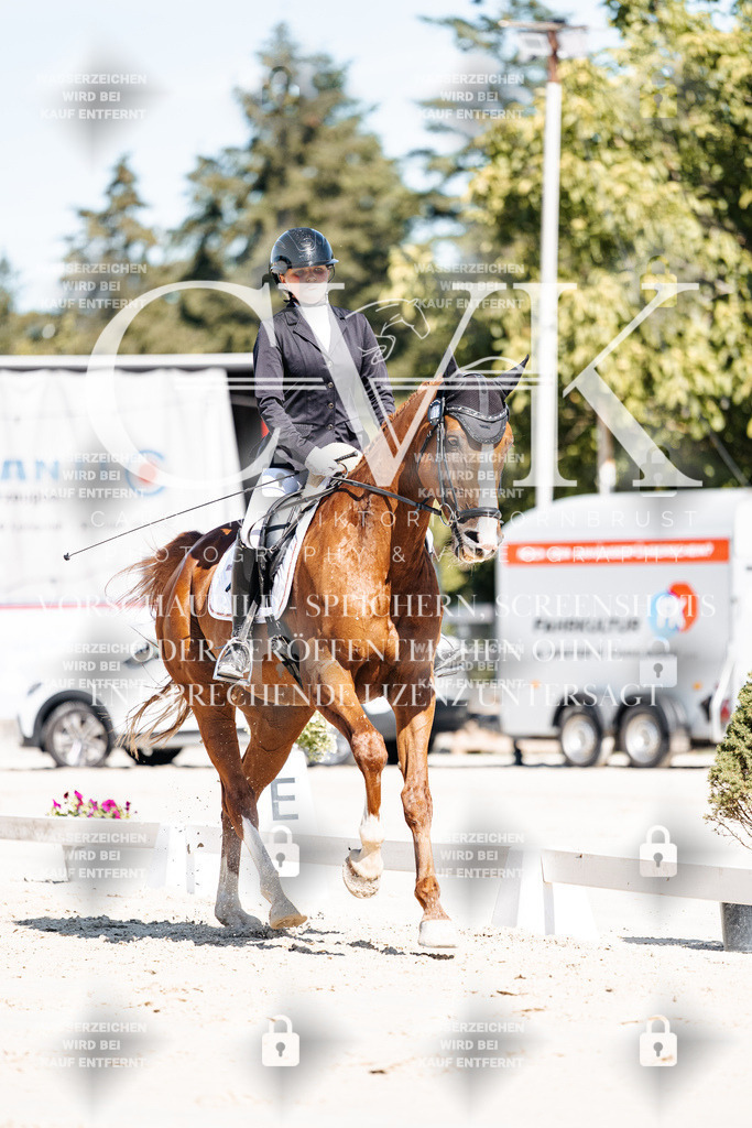 CK908948 | Turnierfotografie Pferdefotografie Trier Rheinland-Pfalz Pferdesport Reitsport Tierfotografie Sportfotografie Pferdevideo Pferdevideografie Equestrianvideography equestrianphotography  - Realisiert mit Pictrs.com