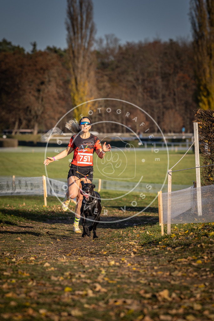 CaniXpix_DV3A2425 | Hundefotografie, Tierfotograf, Pfotenfotografie, Fotoshooting Hund, Hunde Portrait, Hundesport, Hundeportraits, Heideshooting, Hunde, Sportfotograf, Hundefotograf, Turnierhundsport, THS,  - Realisiert mit Pictrs.com