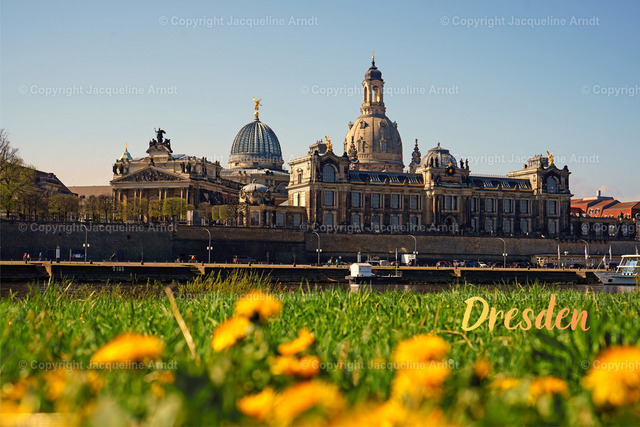 Dresden - 1 | Fotografie Photography Dresden Photoshooting  Fotoshooting Fotografin Dresdencity Bilder  Foto Dresdenvideos Kalender Postkarten Bilderdownload Portrait Hochzeitsfotografie Familienfotos Bewerbungsbilder Studiofotografie Fotograf Dresdenbilder Business - Realisiert mit Pictrs.com
