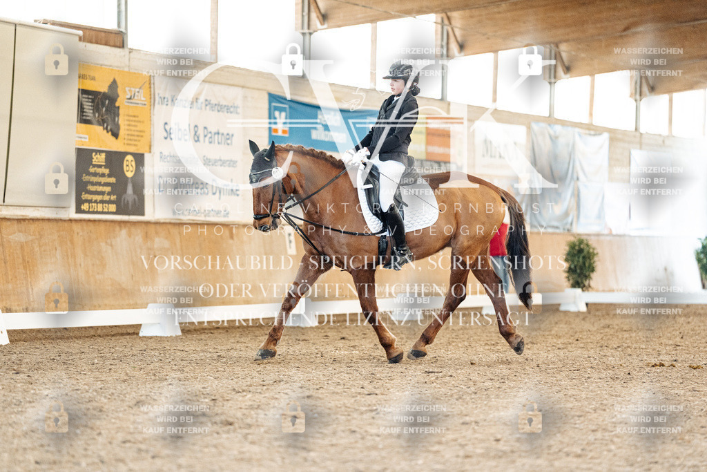 CK907798 | Turnierfotografie Pferdefotografie Trier Rheinland-Pfalz Pferdesport Reitsport Tierfotografie Sportfotografie Pferdevideo Pferdevideografie Equestrianvideography equestrianphotography  - Realisiert mit Pictrs.com