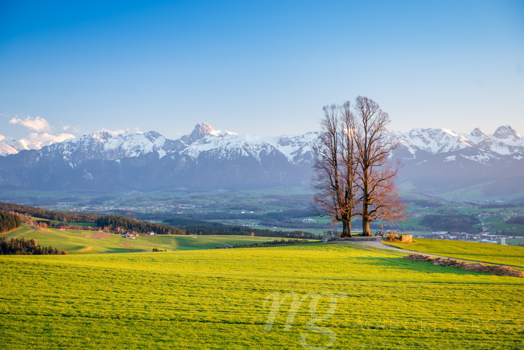 Frühling im Emmental | Die ideale Geschenkidee für Naturliebhaber. Naturbilder von Marcel Gross Photography für ihr Zuhause in den verschiedensten Formaten und Materialien. - Realisiert mit Pictrs.com