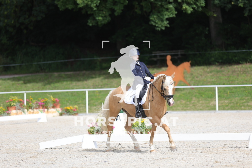 0P6A4929 | Willkommen bei Brunnmayr - Design & Fotografie – Ihrem Spezialisten für Reitturniere und Pferdeveranstaltungen in Oberösterreich, Salzburg und Bayern! Seit über 17 Jahren sind wir leidenschaftlich dabei.