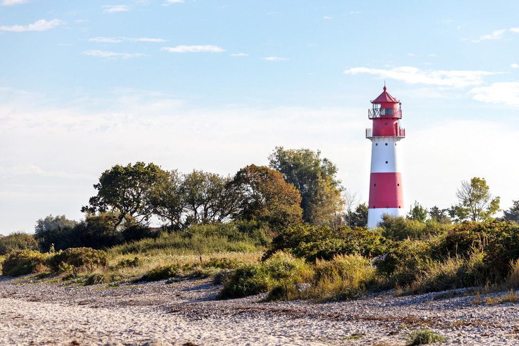 Wandbild: Leuchtturm am Strand in Falshöft | Dieses Wandbild im Querformat zeigt den Leuchtturm in Falshöft am Sandstrand im Herbst. Der Leuchtturm steht inmitten von Bäumen, Büschen und Gräsern. Am blauen Himmel befinden sich nur einige Schleierwolken.  - Realisiert mit Pictrs.com